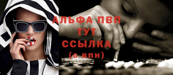 сатива Арсеньев