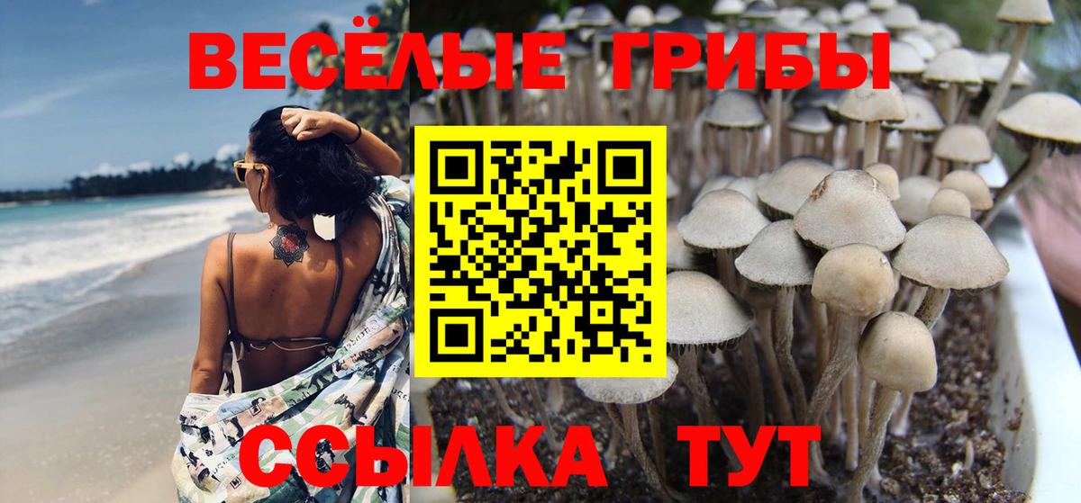 Галлюциногенные грибы ЛСД Арзамас