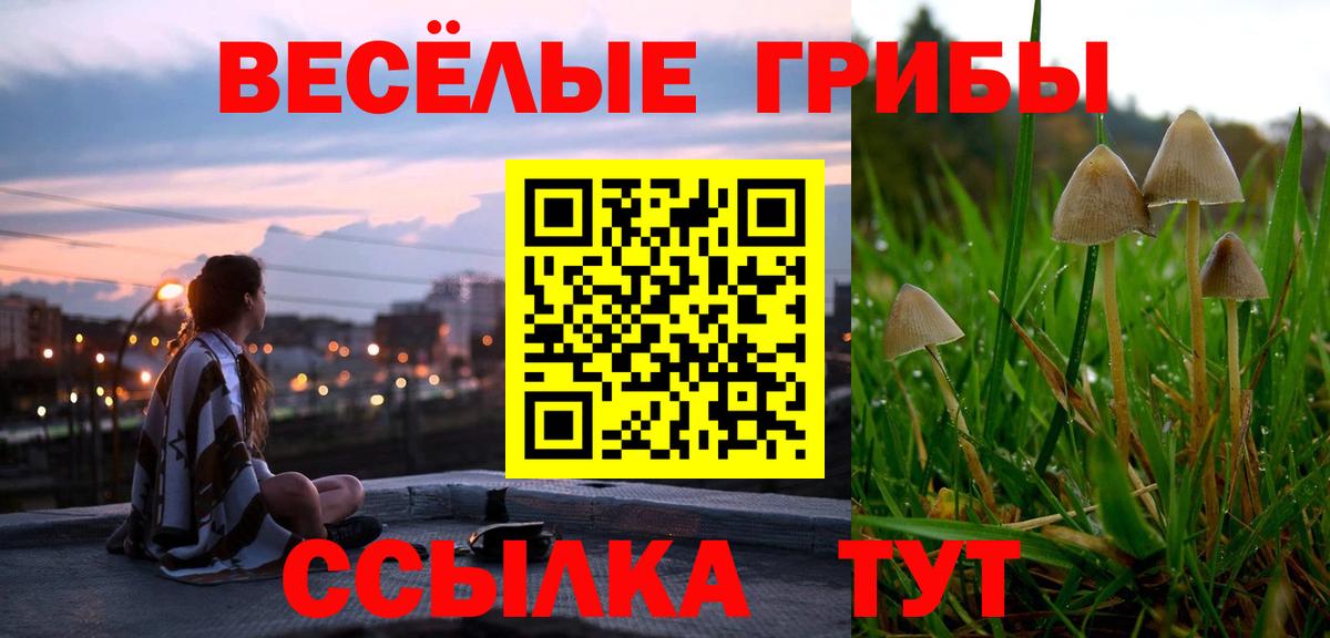 Псилоцибиновые грибы MAGIC MUSHROOMS  Вход с VPN  Арзамас 